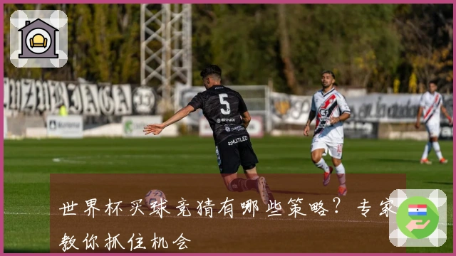 世界杯买球竞猜有哪些策略？专家教你抓住机会