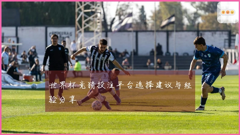 世界杯竞猜投注平台选择建议与经验分享