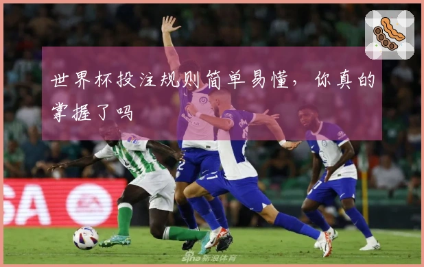 世界杯投注规则简单易懂，你真的掌握了吗